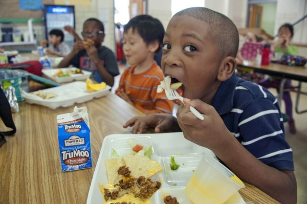 Quels sont les avantages de l’usage d’un logiciel de gestion de cantine scolaire ?